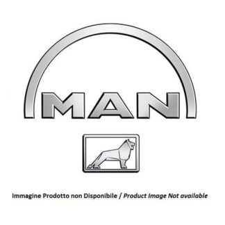 FILTRO OLIO MAN 51.05504-0138 Man